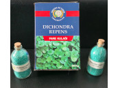 Dichondra Repens